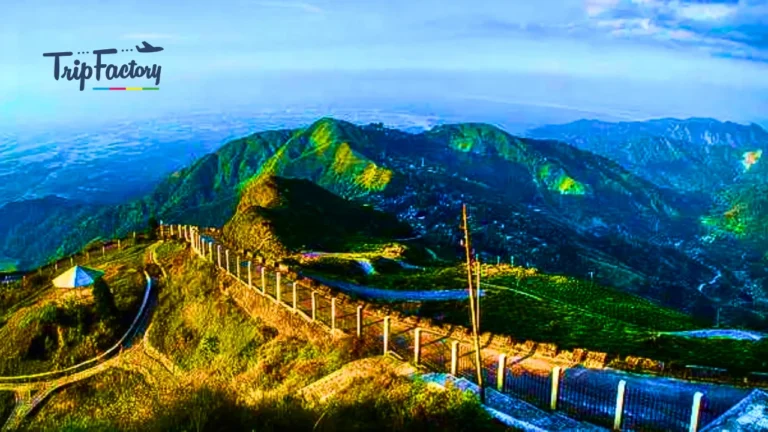 Darjeeling in April