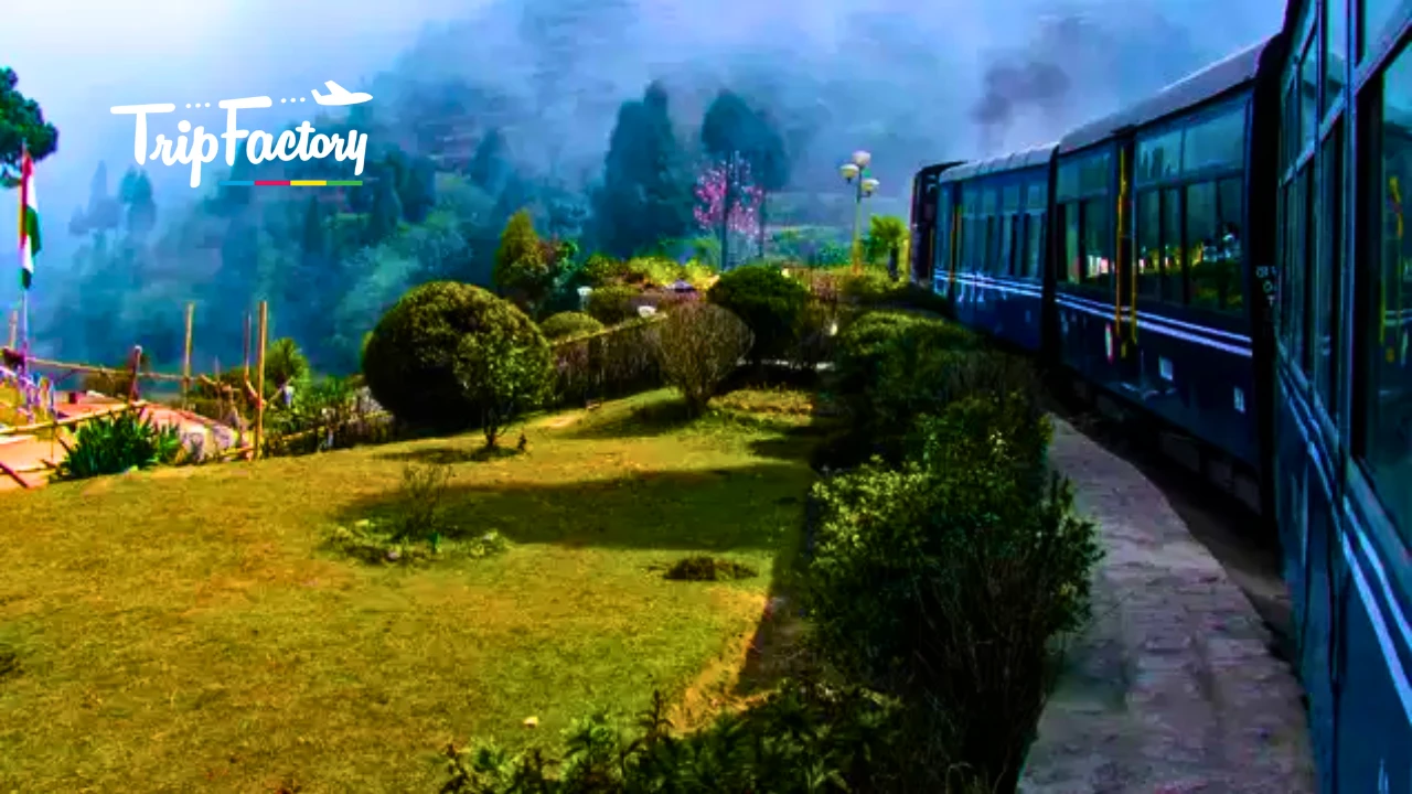 Darjeeling in August