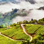 Darjeeling in February