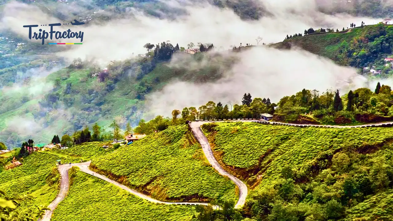 Darjeeling in February