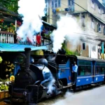 Darjeeling in March