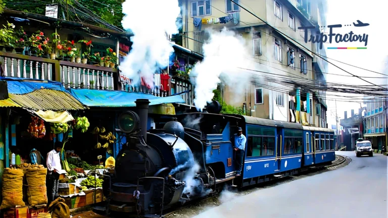 Darjeeling in March