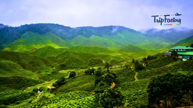 Darjeeling in October