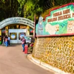 Padmaja Naidu Himalayan Zoological Park