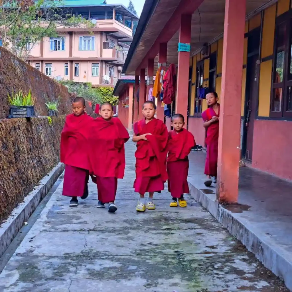 Culture of Sikkim: Tradition , Food & Art, Music, Dance & Image 2 Sikkim culture presenting by child who wear traditional cloth