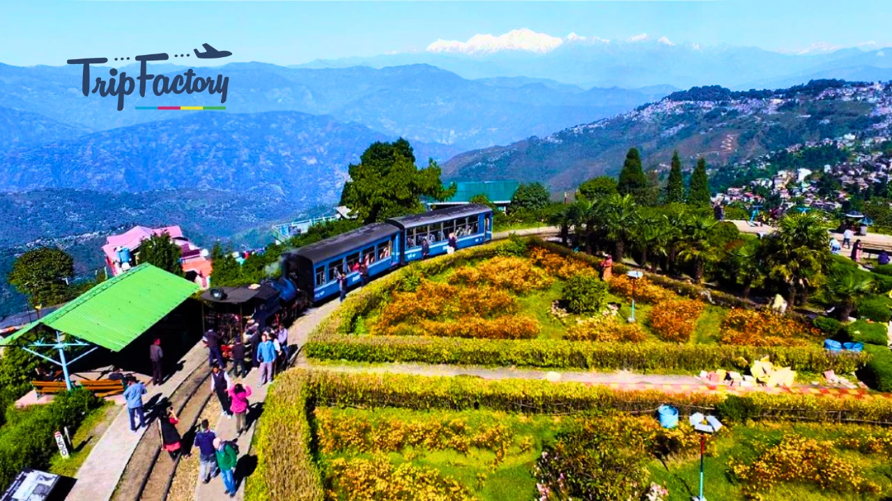 Darjeeling in December