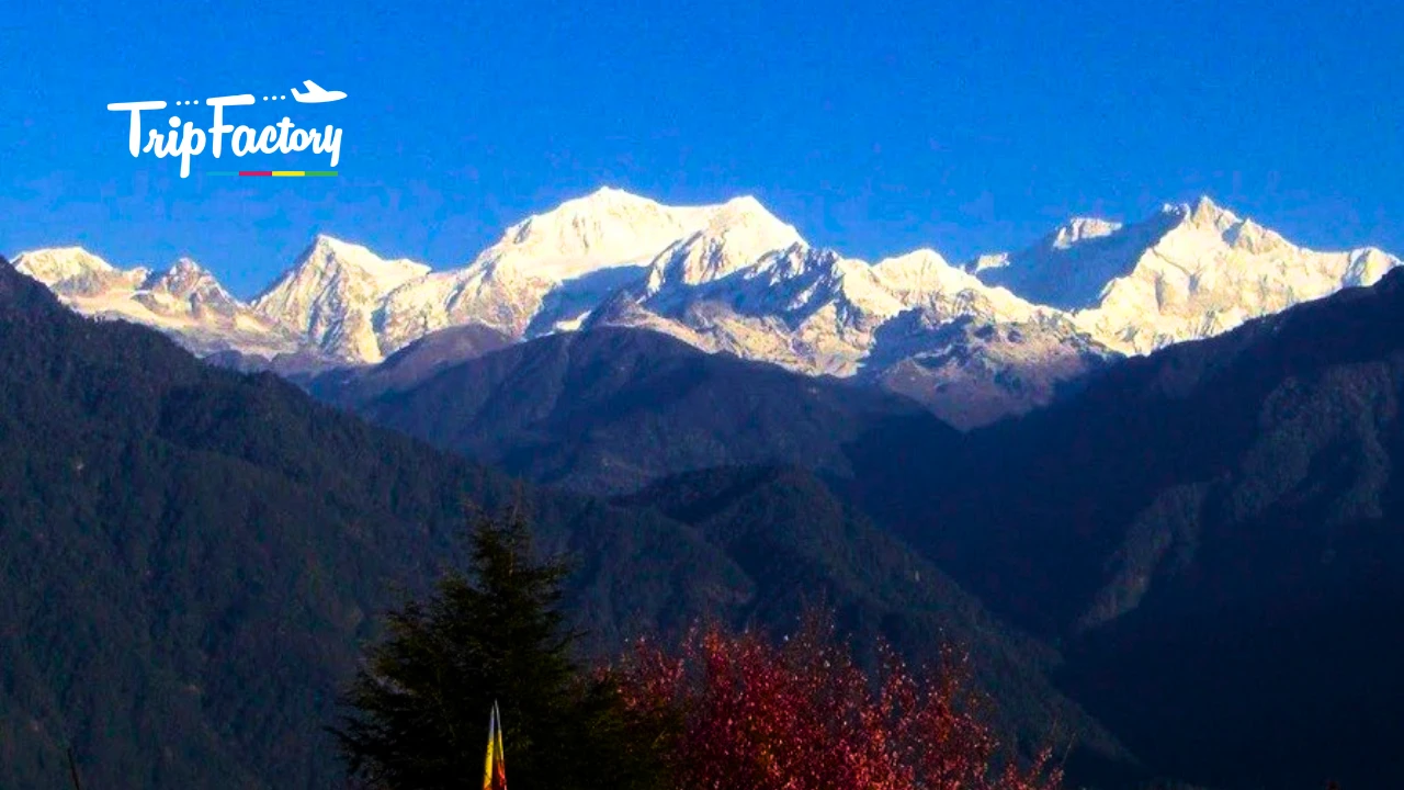 Pelling in December