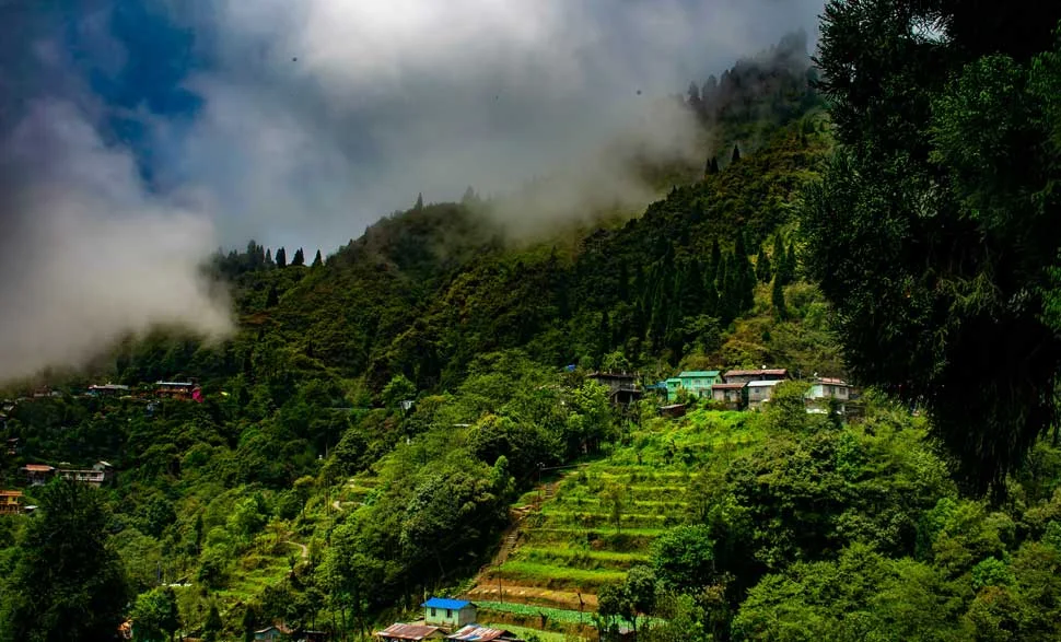 darjeeling tour package for couple​