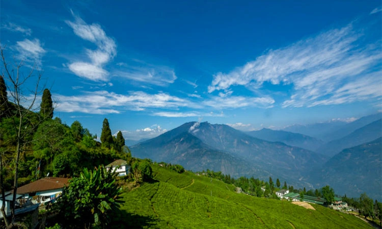 Pelling Tour Package
