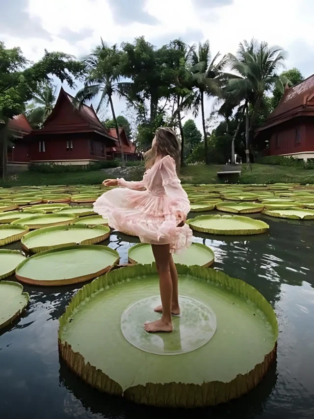 10 Stunning Viewpoints in Bangkok