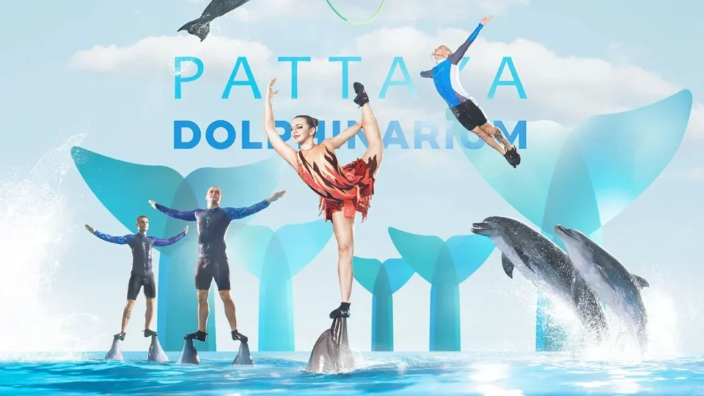 Dolphin show at Pattaya Dolphinarium