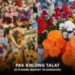 Pak Khlong Talat (a flower market in Bangkok, Thailand)