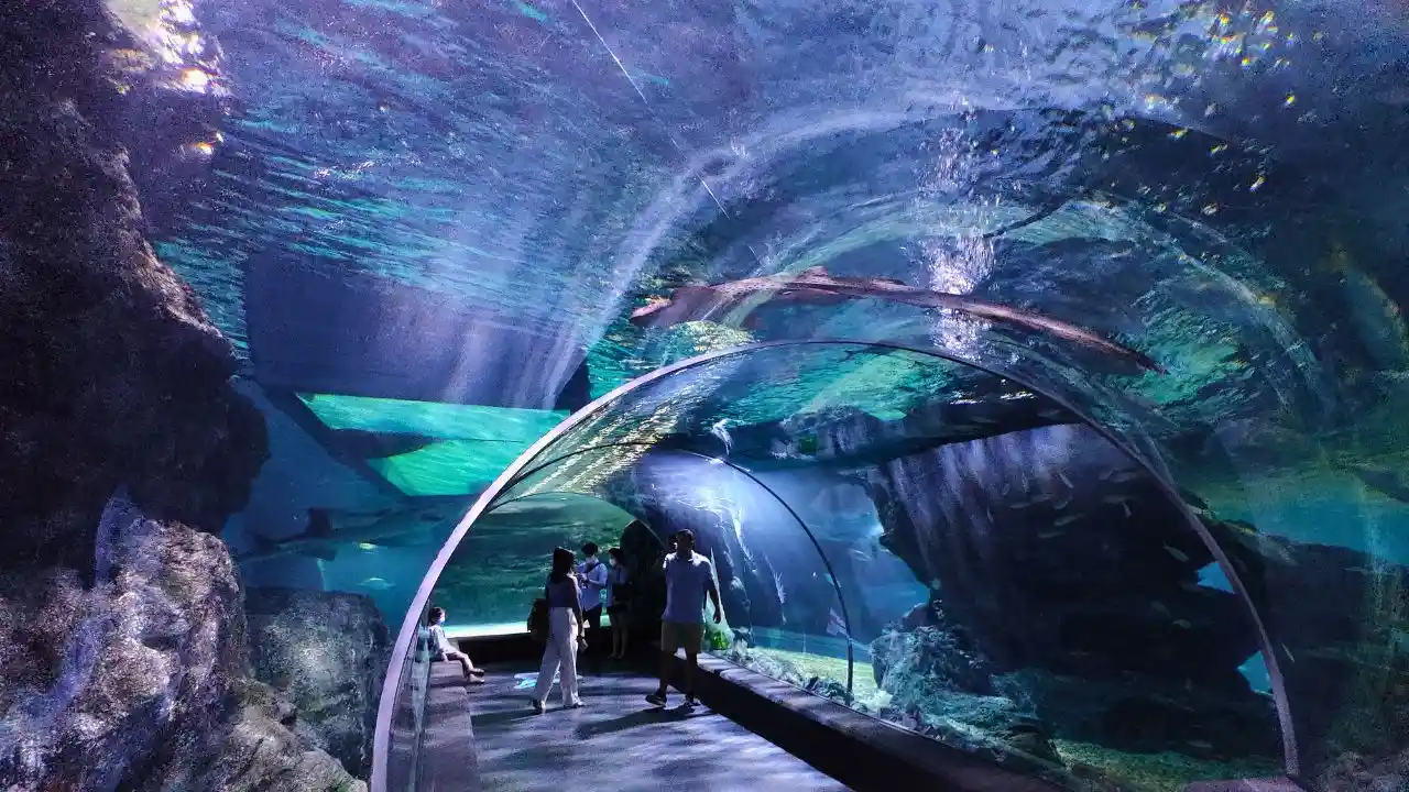 SEA LIFE Bangkok Ocean World, an aquarium in Bangkok, Thailand