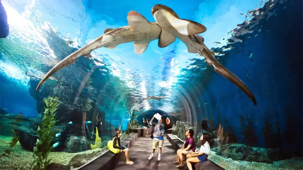 Underwater World Pattaya