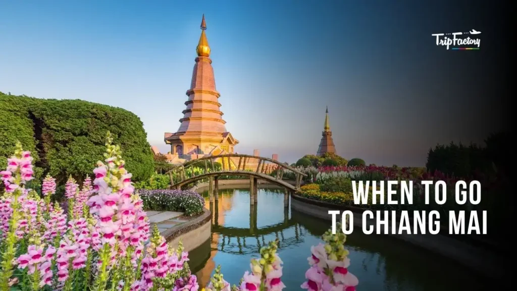 Best Time to visit Chiang Mai