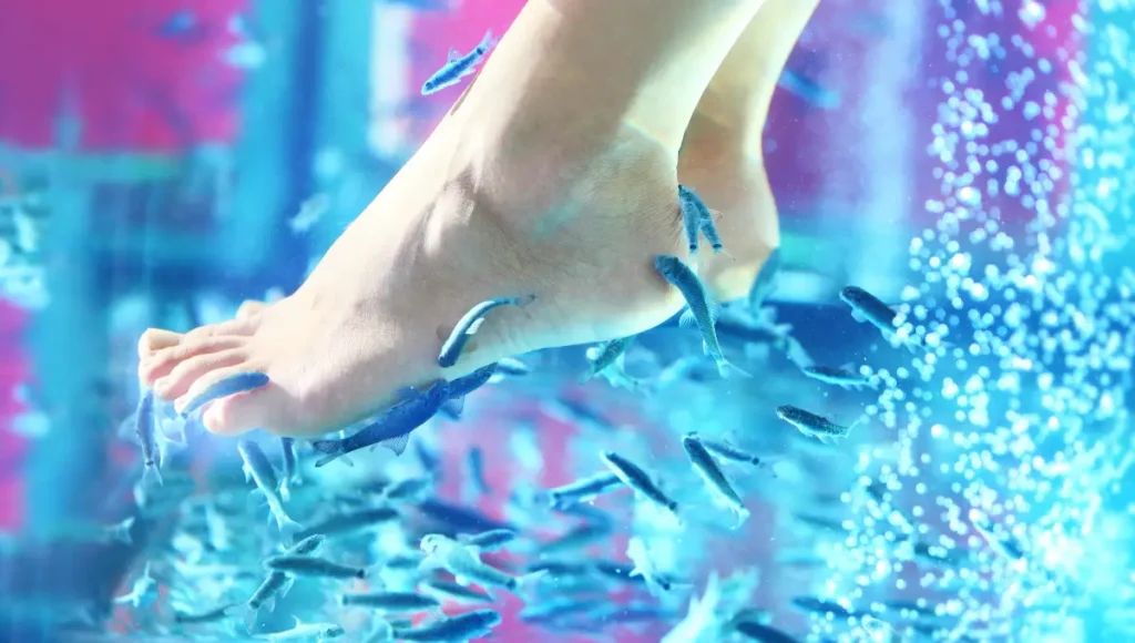Visit a Fish Spa