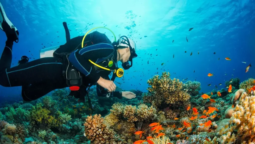 Scuba dive at Koh Haa 