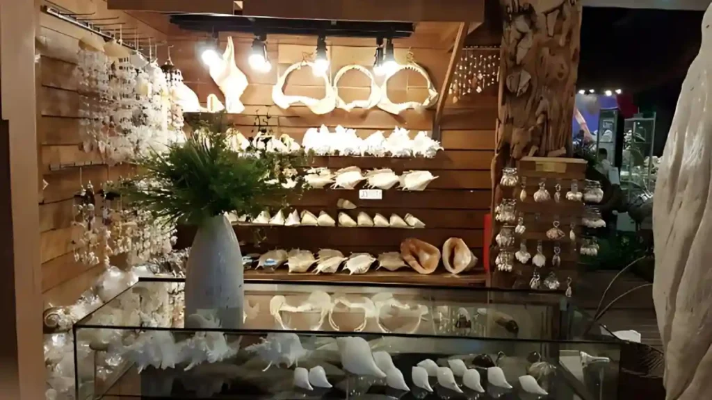 Shell World Museum
