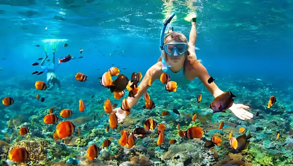 Snorkel at Phi Phi Island