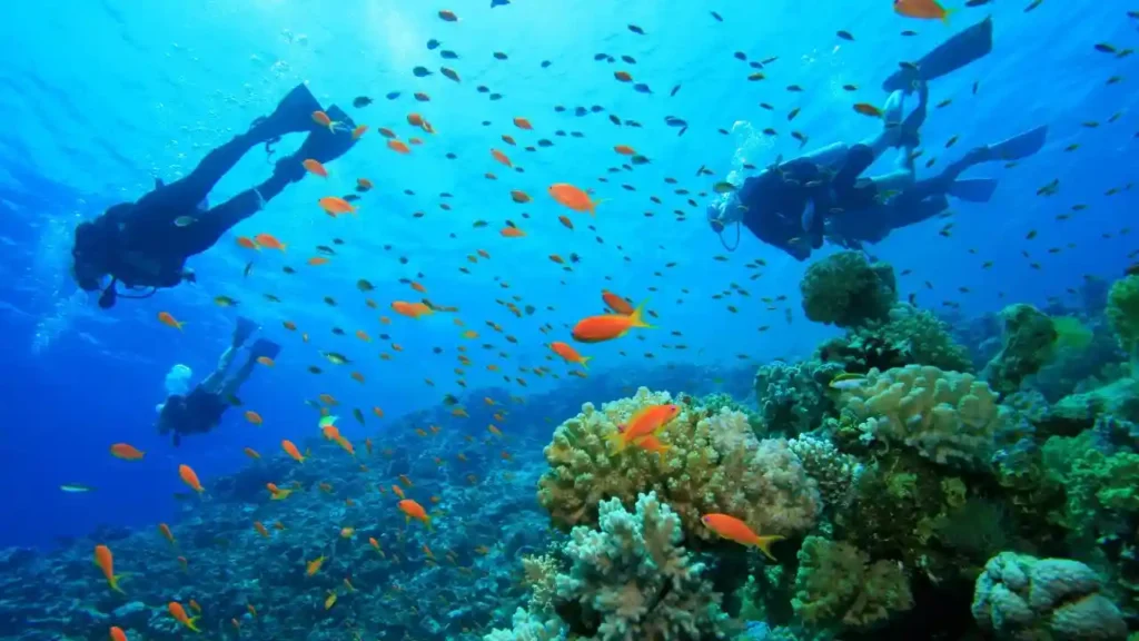 Snorkeling at Coral Island