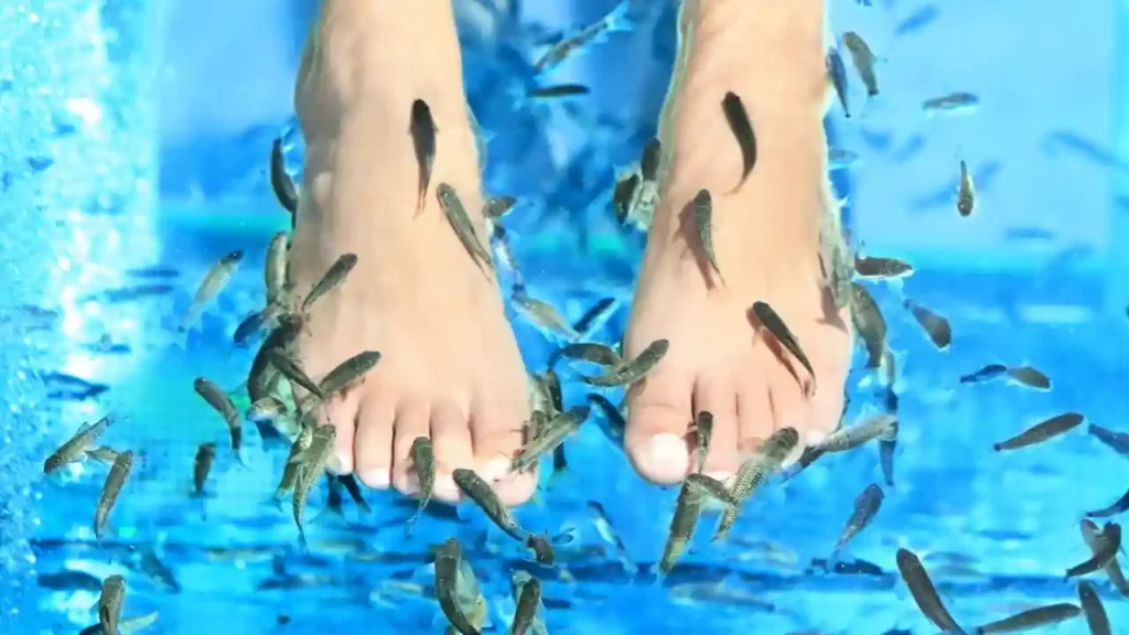 Fish spa treatment
