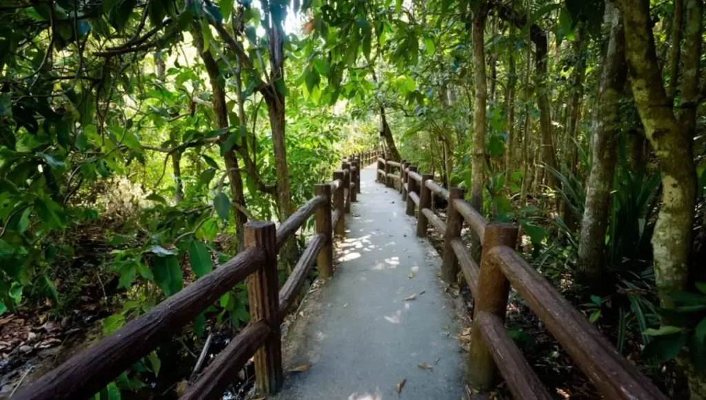 Visit Thung Teao Forest Natural Park