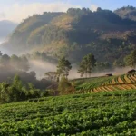 Chiang Mai Weather in July