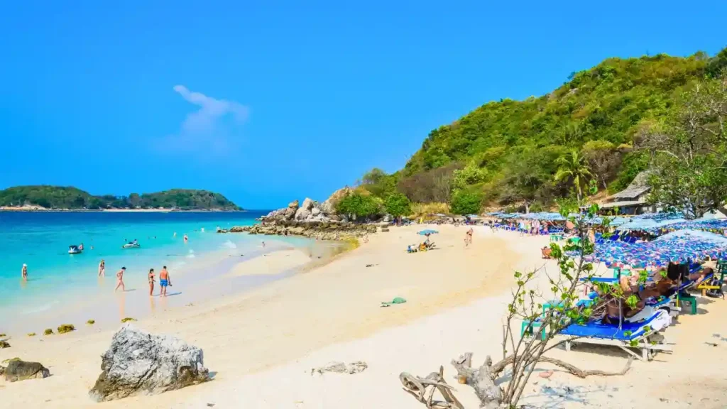 Pattaya Weather in November