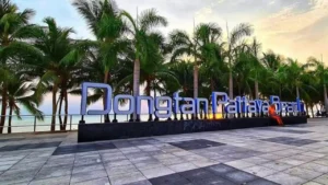 Dongtan Beach