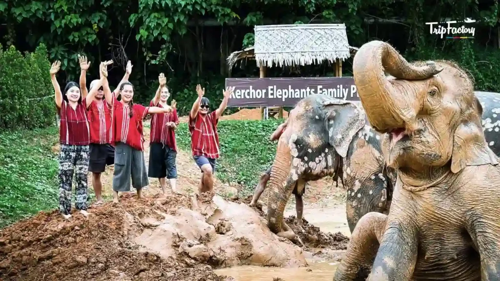 Kerchor Elephant Family Phuket Sanctuary