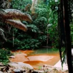 Khao Phra Thaeo National Park