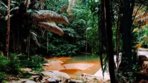 Khao Phra Thaeo National Park