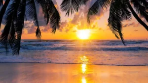 Koh Samui Weather in March