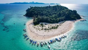 bamboo island