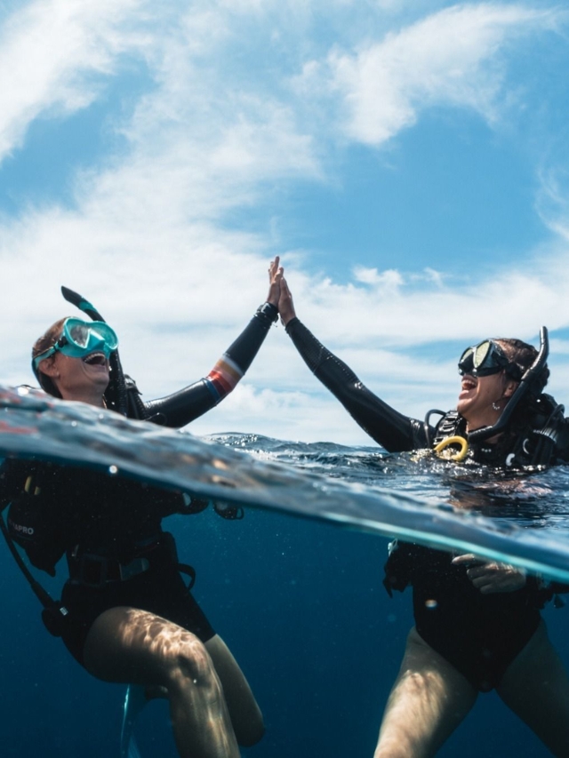 Top 7 Dive Sites in Thailand for Underwater Lovers