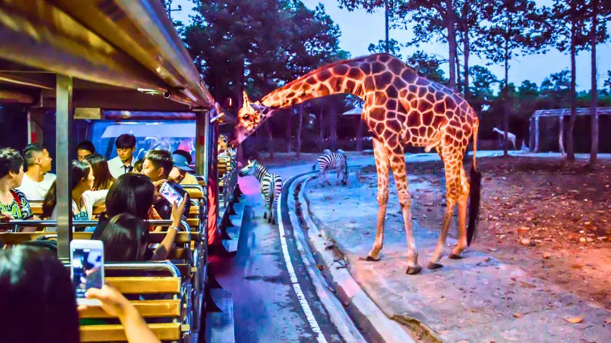 Chiang Mai Night Safari