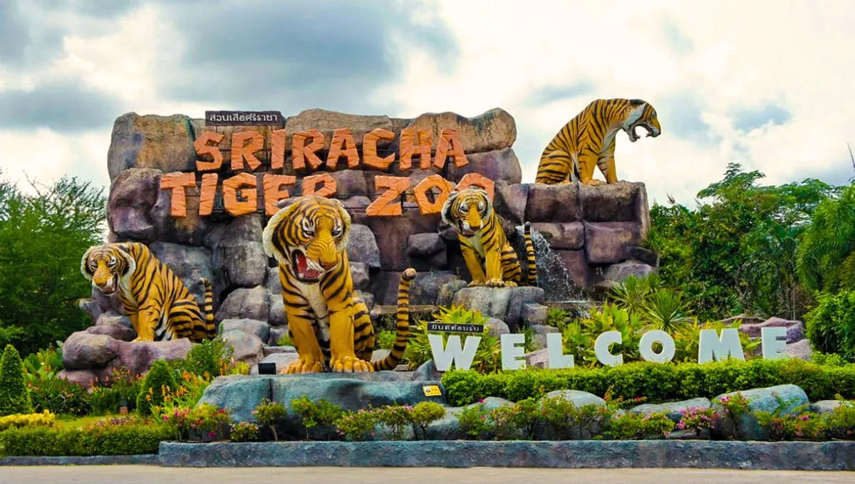 Discover Sriracha Tiger Zoo