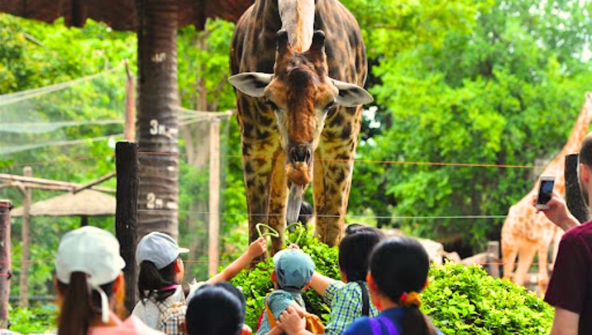 Dusit Zoo