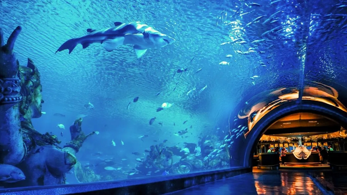 Krabi Aquarium