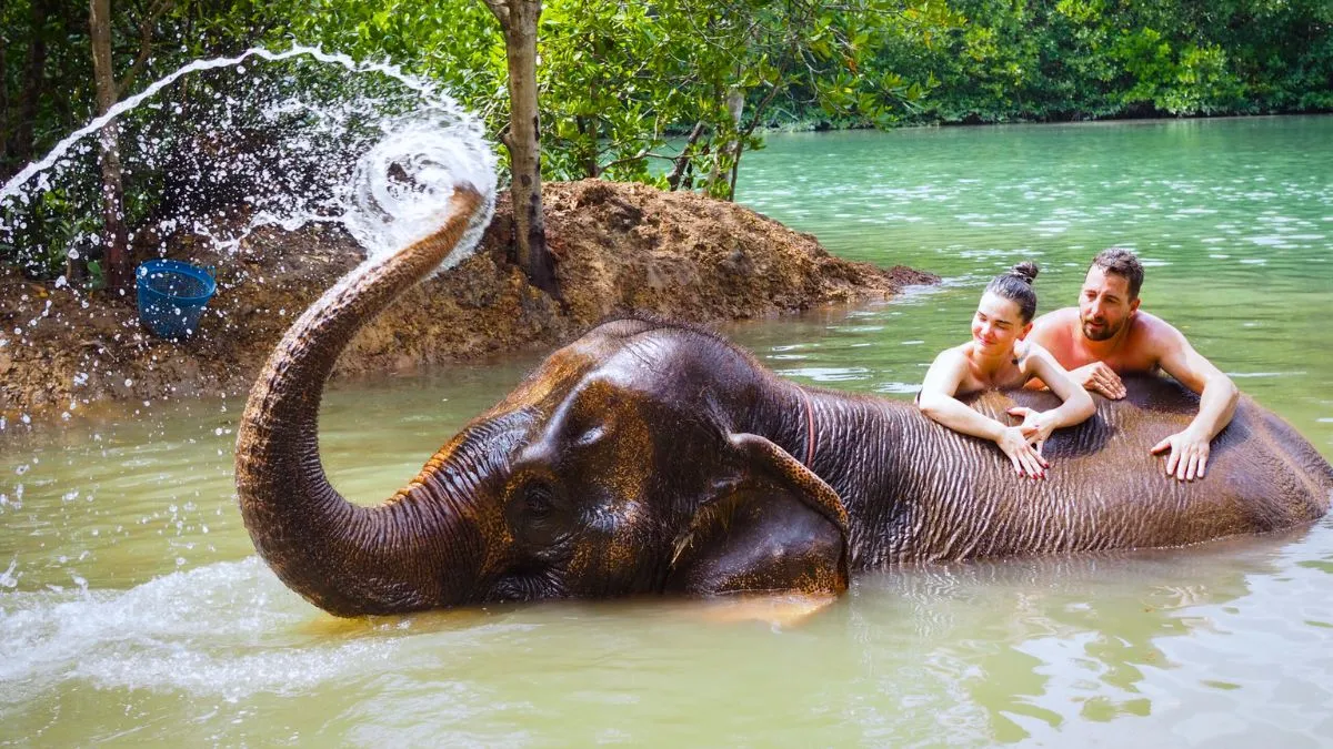 Krabi Elephant Sanctuary