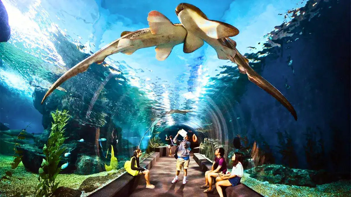 Underwater World Pattaya