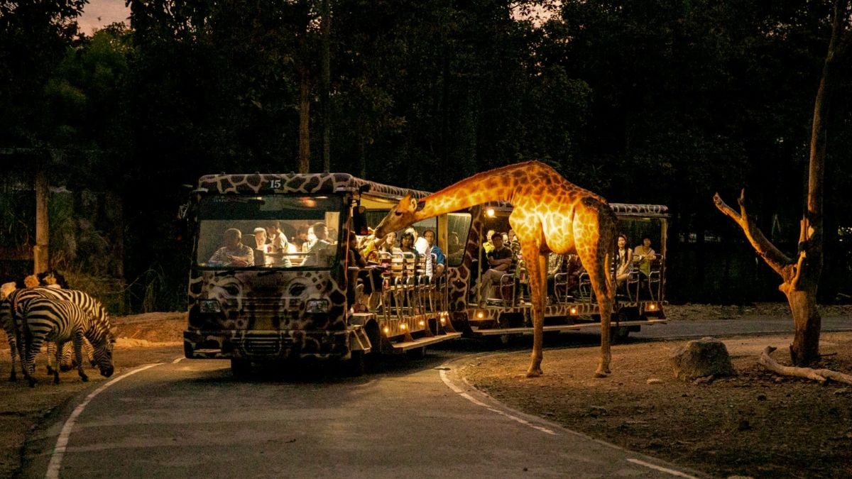 Chiang Mai Night Safari