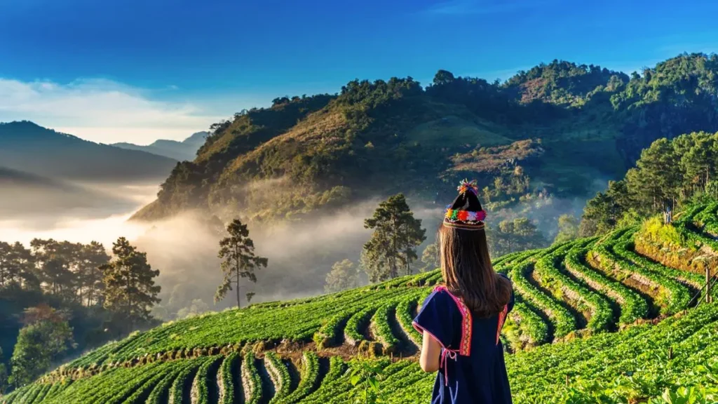 Weather in Chiang Mai in December