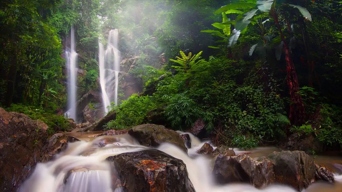 Doi Suthep-Pui National Park