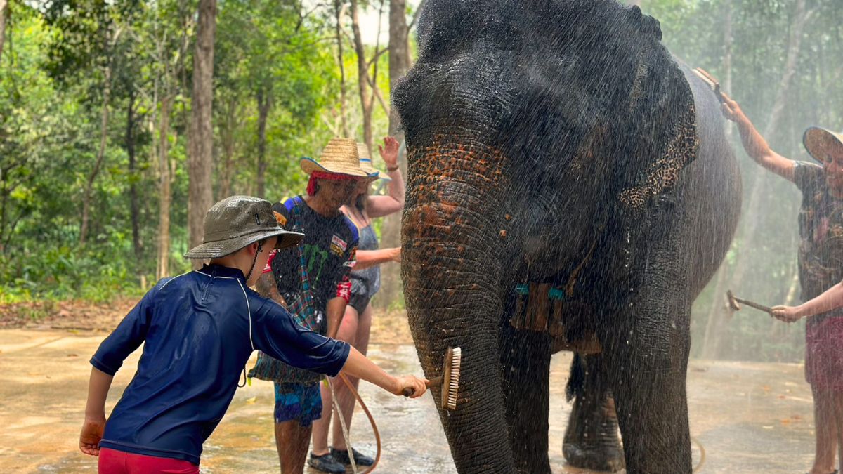 Krabi Elephant Sanctuary