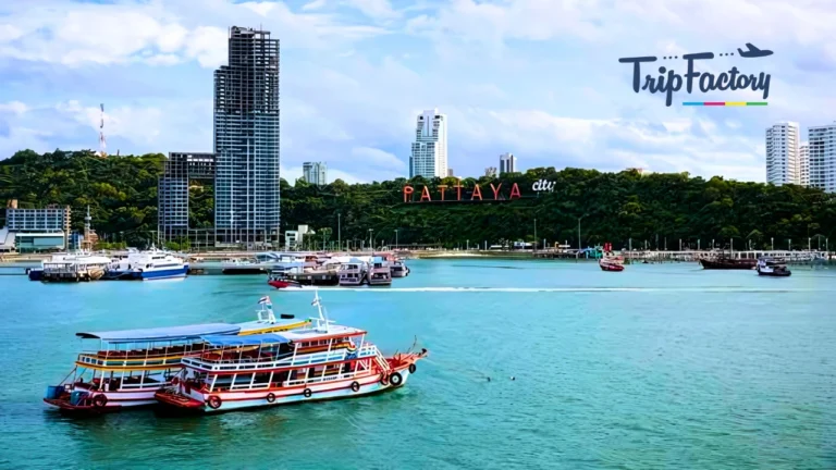 Pattaya in January