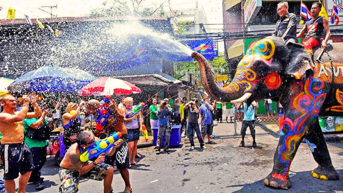 Samui Elephant Festival