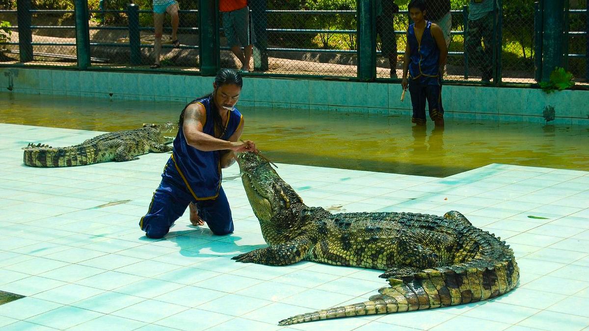 Samui crocodile farm