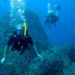 Scuba diving at Sail Rock