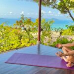 Yoga and Wellness Retreats